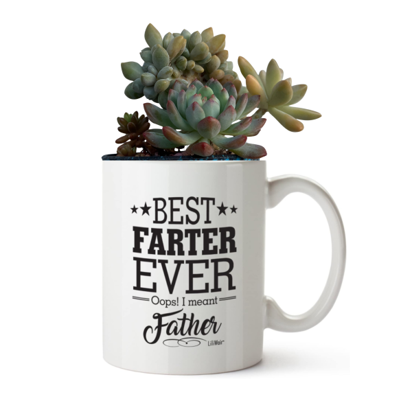 Plant Gift Ideas | Branded Coffee Mug With Succulents Plant Gift Ideas | Branded Coffee Mug With Succulents